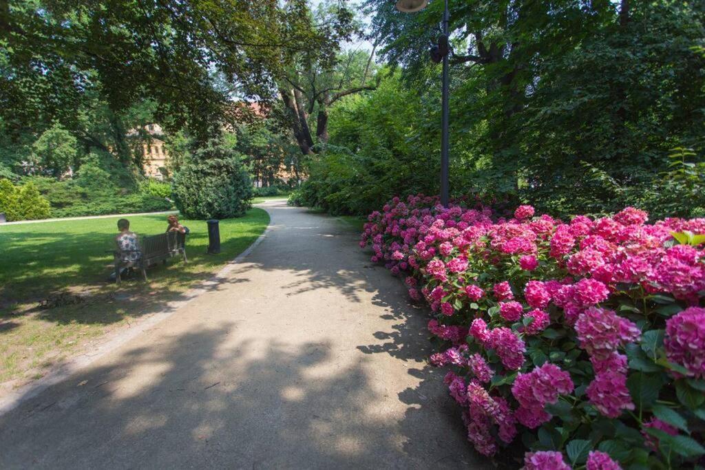 Parkowy Apartament Lejlighed Wrocław Eksteriør billede